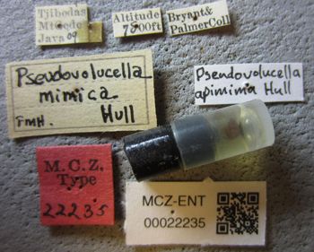 Media type: image;   Entomology 22235 Aspect: labels